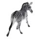 thumbnail image 4 of Figura De Juguete De Modelo Animal De Simulación, Figurita Decorativa Para El Hogar, Cebra De Rayas Finas, 4 of 5