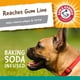 thumbnail image 4 of Mantequilla de cacahuete dental para perros Arm & Hammer Nubbies T-Bone, 4 of 7
