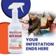 thumbnail image 2 of Mite-B-Gone Extreme Spray Mata Ácaros 946 ml a Base de Plantas, 2 of 9