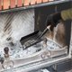 thumbnail image 3 of Conjunto De Pala De Carbón Y Cepillo De Chimenea Hecho De Madera Natural Y Cerdillos Conjunto Ordenado De Chimenea Conjunto De Herramientas De Chimenea Conjunto De Herramientas De Chimene, 3 of 3