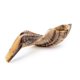 thumbnail image 1 of Shofar de carnero Yomtov Shalom Ram 9-11" Kosher Israel, 1 of 1