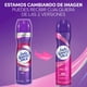 thumbnail image 4 of Desodorante Spray Lady Speed Stick Pro5 Mujer, 91 g 2 Un, 4 of 8