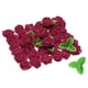 thumbnail image 1 of Cabezas de Rosa de Espuma Uxcell 250 Piezas Rojo Vino, 1 of 3