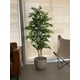 thumbnail image 2 of Planta Artificial Decorativa Arbol Grande Pack Bamboo 150cm, 2 of 6