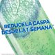 thumbnail image 4 of Shampoo Fructis Fortificante Anticaspa Graso Botella, 350 ml, 4 of 8