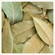 thumbnail image 2 of Hojas de Laurel 100gr, 2 of 2