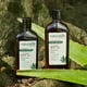 thumbnail image 3 of Shampoo + Acondicionador Cañamo 350ml Naturaloe, 3 of 7
