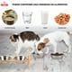 thumbnail image 3 of 2 En 1 Comedero Bebedero Ajustable Para Mascotas Perro Gato, 3 of 7