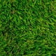 thumbnail image 1 of Pasto Sintético Foresta P40 Mm 1250 Grs - Rollo 2 X 4 Mt, 1 of 2