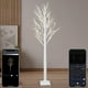 thumbnail image 1 of Árbol de abedul inteligente Aoycocr de 6 pies con 120 luces LED, 18 modos, 1 of 3