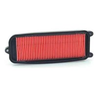 Genérico - Filtro De Aire Moto Hyosung Gv Aquila 250 Original
