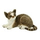 thumbnail image 1 of Mu?eco De Peluche De Gatos Lindos, Animales De Peluche Encantadores Y Cómodos Para El Sofá De La Oficina En Casa, 1 of 5