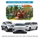 thumbnail image 4 of Donkey Kong Country Sombrilla Solar para Auto - Protector de Parabrisas Plegable | Cortina Solar Delantero | Bloqueo UV y Aislamiento de Calor 133x73cm, 4 of 6