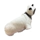 thumbnail image 2 of Suéter para Gatos Sin Pelo, Ropa Suave para Gatos, Ideal para Viajes, Disfraz para Gatos (Tamaño XL), 2 of 3