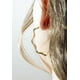thumbnail image 2 of Aros LS2352-4/2 Lotus Style Mujer Urban Woman, 2 of 3