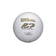 thumbnail image 2 of Pelota Mr Wilson Cast Away Volleyball, 2 of 2