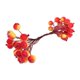 thumbnail image 1 of Arreglo Floral De Bayas De Acebo Artificiales Escarchadas Para Hacer Tú Mismo En Invierno Con 40 Cabezas En Naranja Y Amarillo, 1 of 5
