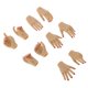 thumbnail image 3 of Modelos De Mano De Mujer A Escala 1: 6 De 10 Piezas Para Figura Femenina De 12 Pulgadas Piel Marrón, 3 of 3