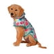 thumbnail image 3 of Impermeable Para Mascotas Talla L Squishmallows, 3 of 5