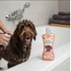 thumbnail image 2 of Shampoo Perro Pelos Oscuros Aroma Mandarina - Granada 250 Ml, 2 of 5