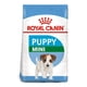 thumbnail image 1 of Royal Canin - Alimento Cachorro Mini Puppy Razas Pequeñas, 1 of 2
