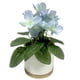 thumbnail image 5 of Primavera artificial, 5 of 8