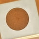 thumbnail image 3 of Soporte exterior Nest Box PH Prevue Hendryx para cacatúas, 3 of 4