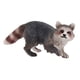 thumbnail image 2 of Realista Jungle Animal Raccoon Figuras Modelo Ni?os Ni?os Peque?os Juguetes Favores De Fiesta Caminar, 2 of 5