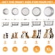 thumbnail image 5 of Cuencos para perros Neater Pet Brands de acero inoxidable, 6 tazas (1,4 L), 5 of 9