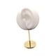 thumbnail image 1 of Organizador De Aretes Soporte De Exhibición De Aretes De 2.76 '' Para Tocador Blanco Izquierdo, 1 of 5