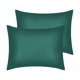 thumbnail image 1 of REGALWOVEN Juego de 2 fundas de almohada de satén para cabello y piel, fundas de almohada refrescantes, regalo para mujeres y hombres verde estándar, 1 of 7