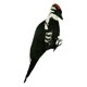 thumbnail image 1 of Regalo Artificial Del Pájaro Del Pájaro Carpintero De La Simulación Para El Patio Al Aire Libre Decorativo, 1 of 5
