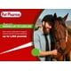 thumbnail image 5 of Jeringa desparasitante para caballos Pet Pharma Ivermectina Pasta 1.87%, 5 of 8