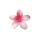 thumbnail image 4 of Clip para Cabello, Flor, 1 Un, 4 of 9