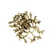 thumbnail image 3 of Broche De Calavera De Halloween, Resistente, Accesorio De Moda, Estilo Gótico, Para Fiesta, Dorado, 3 of 3