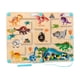 thumbnail image 1 of Tablero De Laberinto De Clasificación De Colores Magnéticos, Juego De Clasificación Para Niños A Partir De 3 Años, Regalo De Cumpleaños, Dinosaurio, 1 of 3