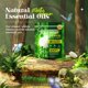 thumbnail image 2 of Vaporizadores de ducha POPCHOSE para aromaterapia, eucalipto, 16 unidades, 2 of 8