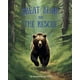 thumbnail image 1 of Libro autoeditado Great Bear and the Rescue, 1 of 1