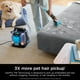 thumbnail image 2 of Eliminador de manchas y olores Shark StainStriker HairPro Pet, 2 of 3