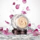 thumbnail image 3 of Crema de Noche Mágica Hidratante para la Piel Charlotte Tilbury 15 ml, 3 of 5