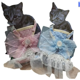 thumbnail image 1 of Arnes + Correa Papa Gato Modelo Vestido De Fiesta, 1 of 1