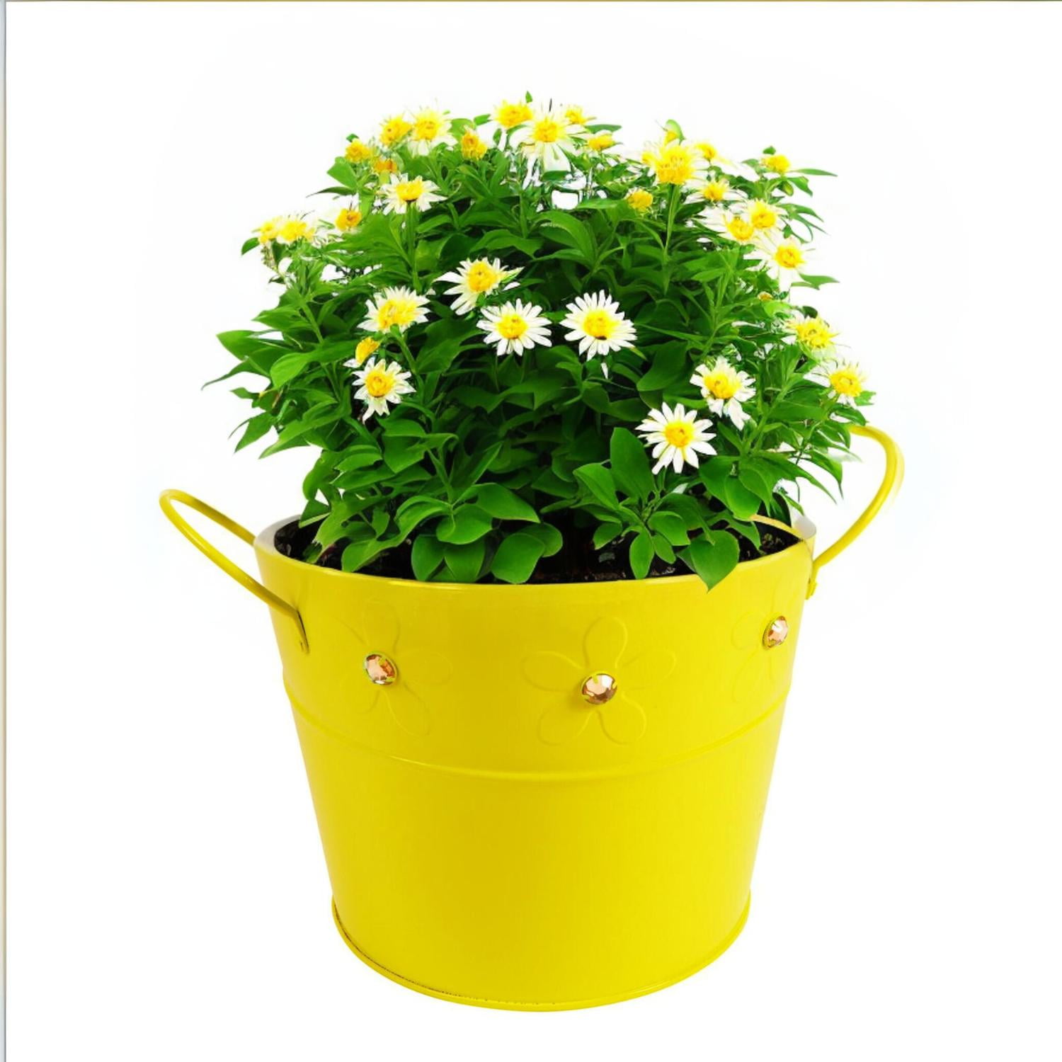 Homeessentials - Balde De Latón Amarillo Con Gemas