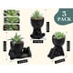 thumbnail image 3 of Suculentas Artificiales 3pcs Negro 13cm, 3 of 3