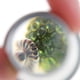 thumbnail image 4 of Lupa Universal de Aluminio 10X 22 mm, 4 of 8