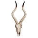thumbnail image 3 of Resina Long Horned RAM Decor Skull Wall Mount Skull Decor Para Home Office C 56.5x21.5x13cm, 3 of 5