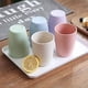 thumbnail image 4 of Vaso reutilizable ecológico de paja de trigo, vaso biodegradable y saludable, juego de 5 colores, 5 unidades, vaso de paja de trigo, vaso para la boca, cepillo de dientes, vaso para el desayuno, 5 un, 4 of 6
