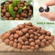 thumbnail image 3 of Clay Pebbles Halatool Leca, 1,8 kg, 4 mm-16 mm, para plantas hidropónicas, 3 of 7