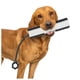 thumbnail image 1 of Bumper de Entrenamiento GUNNER Flasher con Cuerda Ajustable para Recuperación, 1 of 7