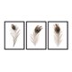 thumbnail image 1 of Set de Cuadros Abstracto Plumas Real con Marco Negro, 1 of 1