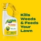 thumbnail image 2 of Fertilizante y herbicida para césped Scotts Turf Builder 946 ml, 2 of 8